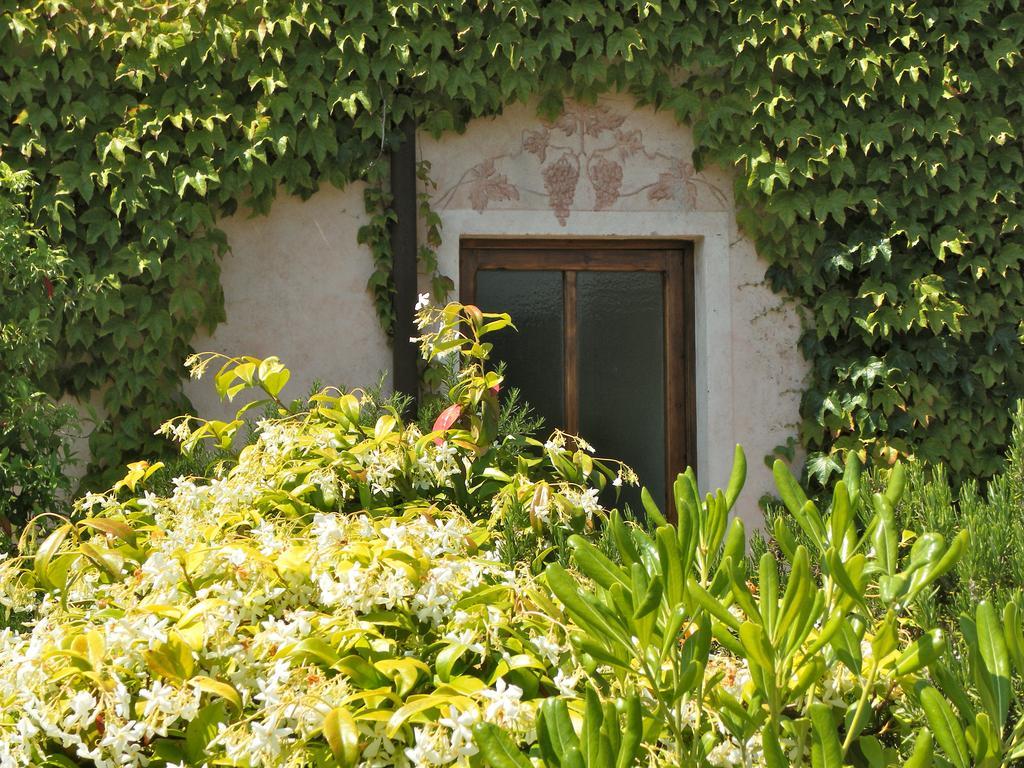 Affittacamere Il Caminetto Portoferraio Exteriér fotografie